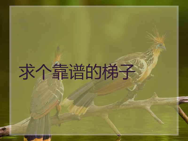 求个靠谱的梯子