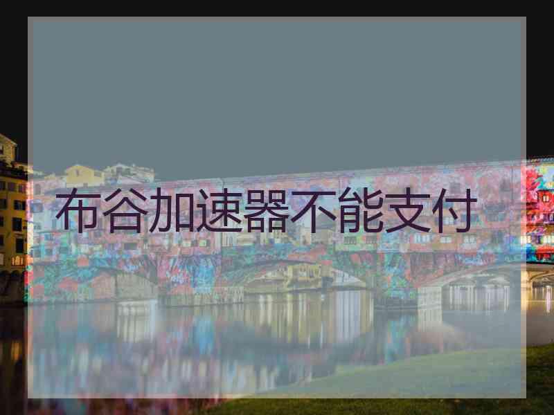 布谷加速器不能支付
