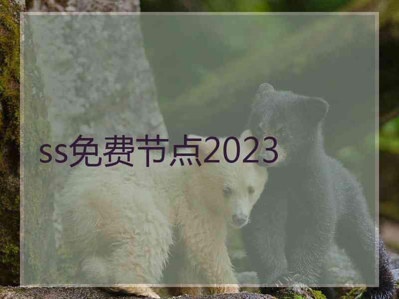 ss免费节点2023