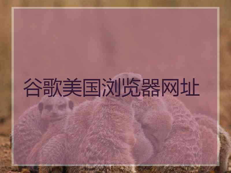 谷歌美国浏览器网址