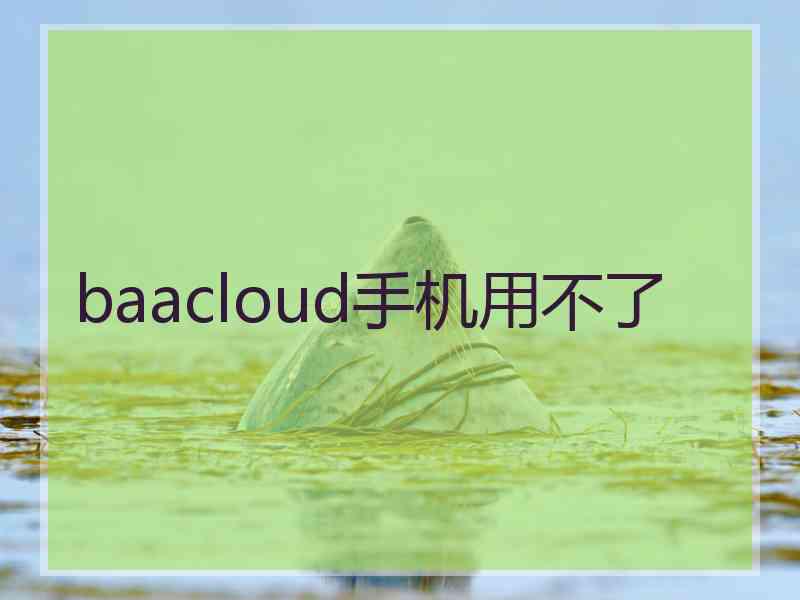 baacloud手机用不了