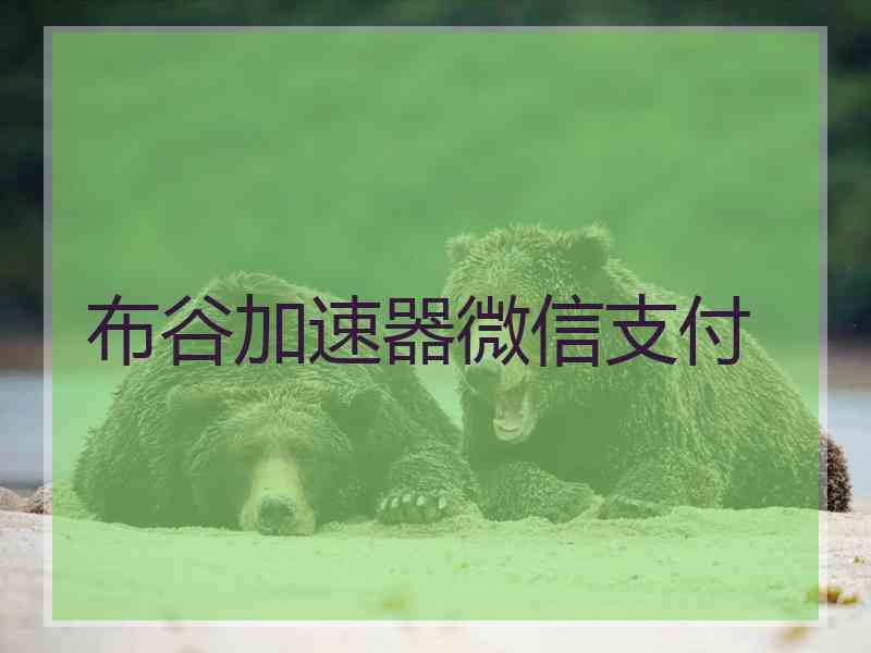 布谷加速器微信支付