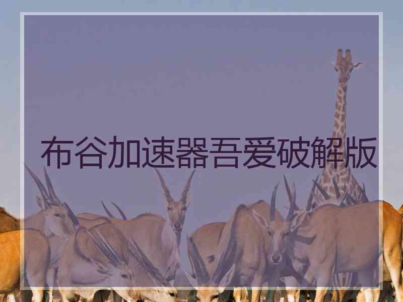 布谷加速器吾爱破解版
