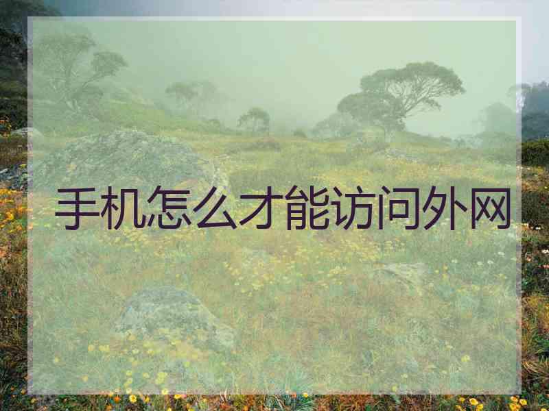 手机怎么才能访问外网