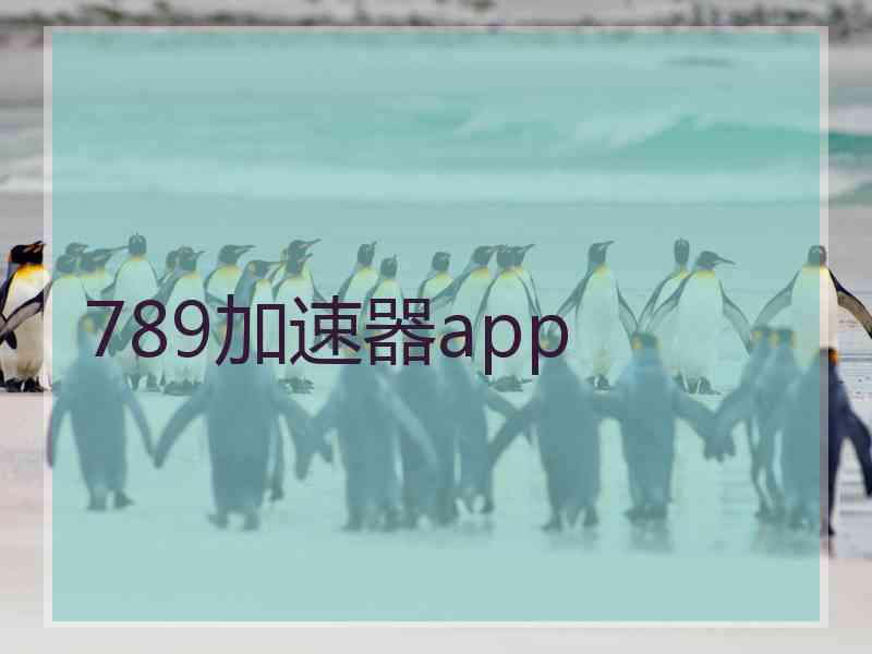 789加速器app