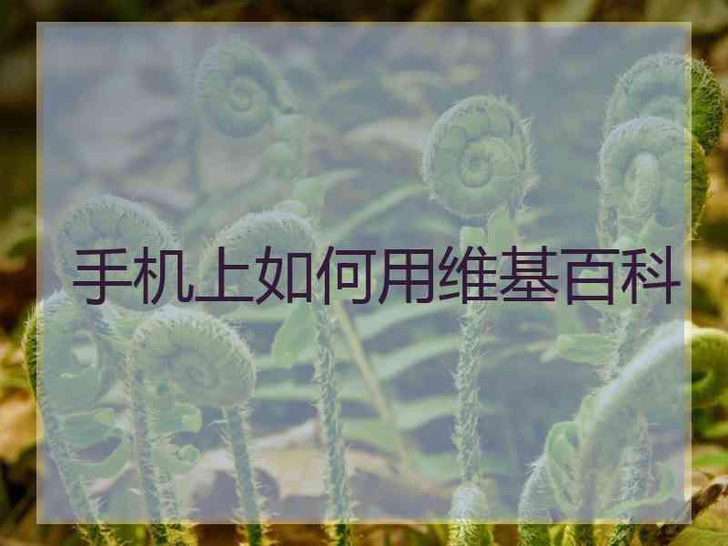 手机上如何用维基百科