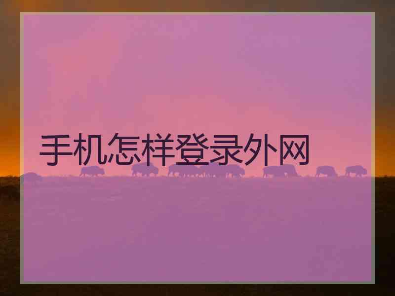 手机怎样登录外网