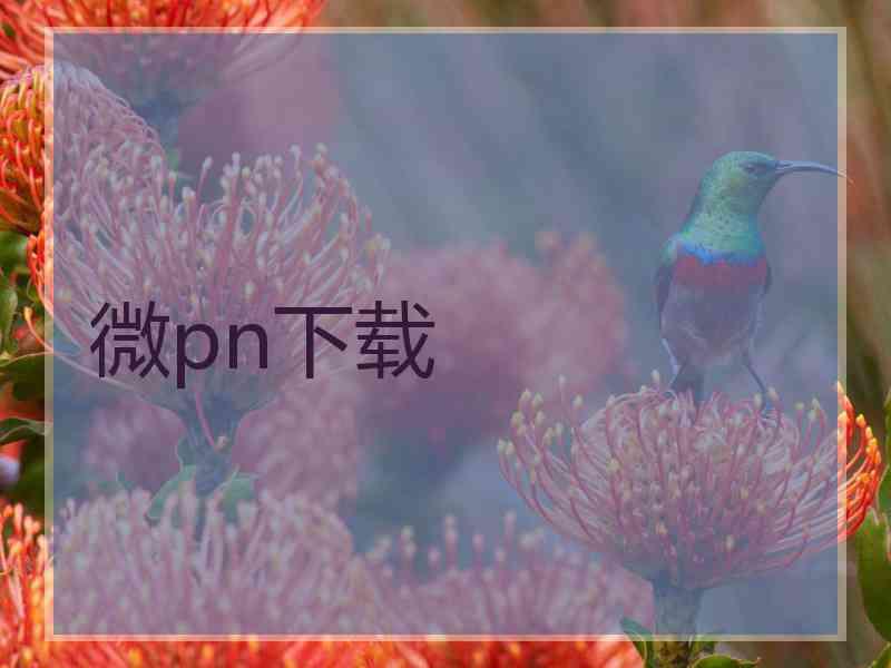 微pn下载