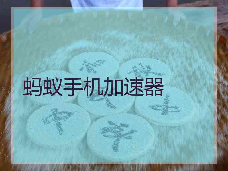 蚂蚁手机加速器