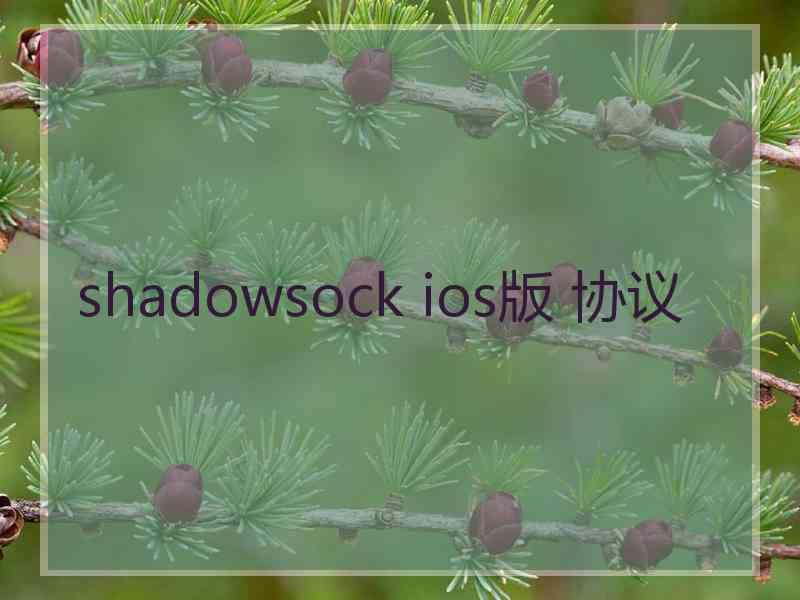 shadowsock ios版 协议