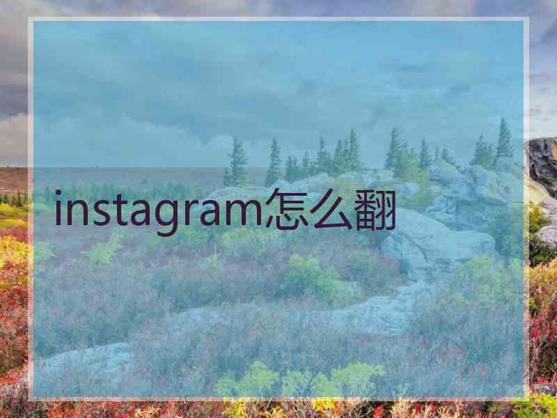 instagram怎么翻