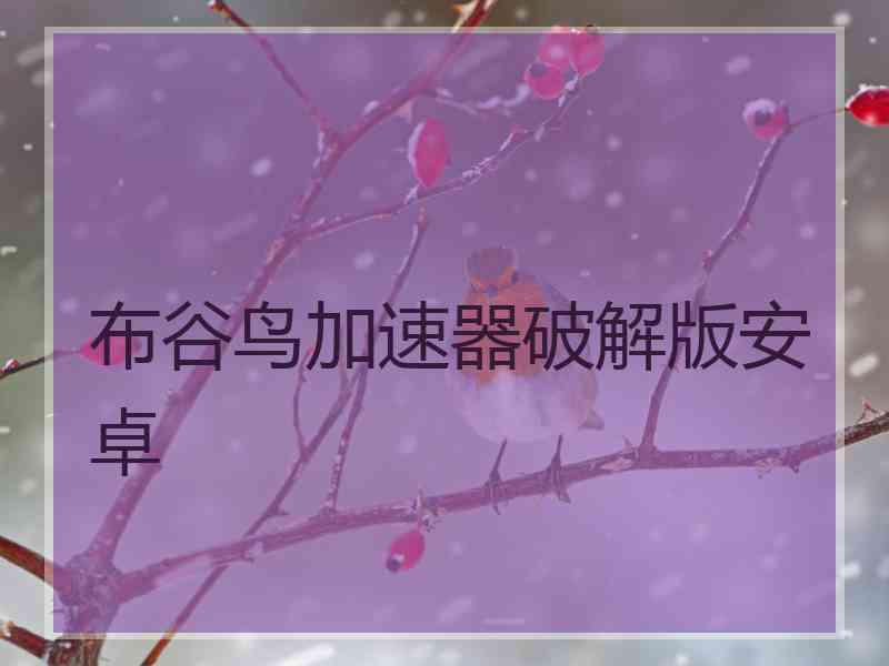布谷鸟加速器破解版安卓