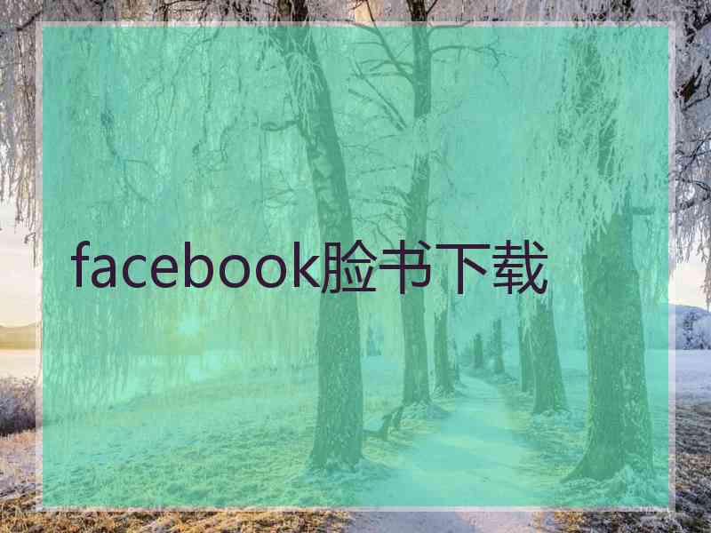 facebook脸书下载