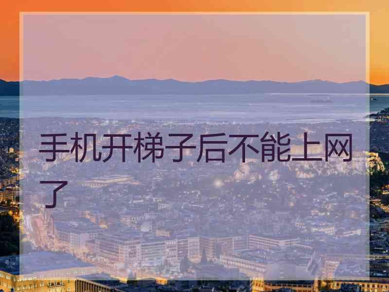 手机开梯子后不能上网了