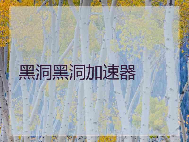 黑洞黑洞加速器