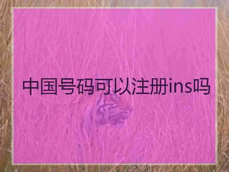 中国号码可以注册ins吗