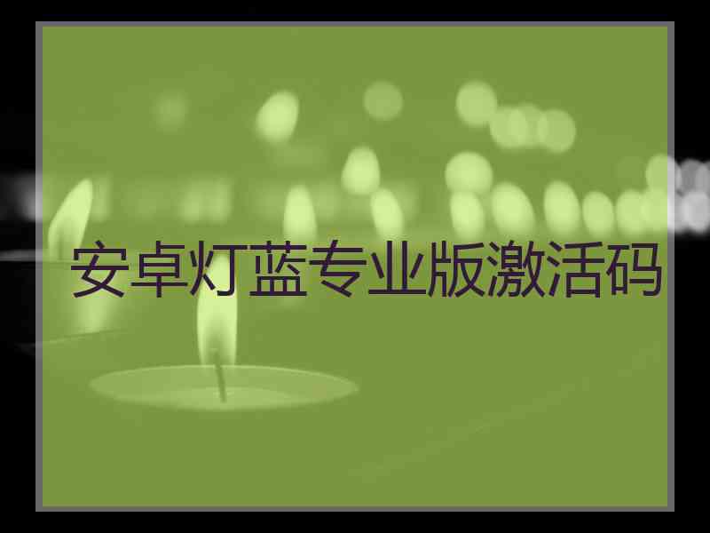安卓灯蓝专业版激活码