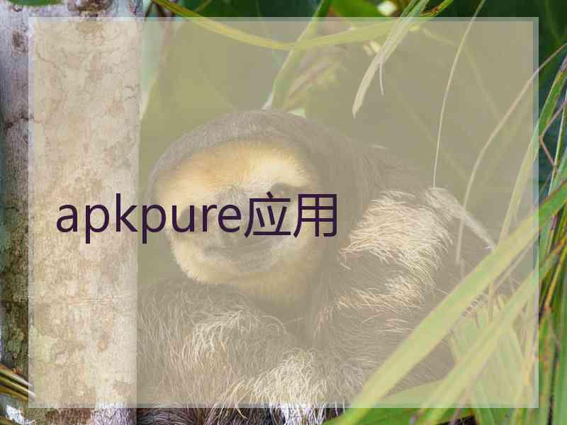 apkpure应用