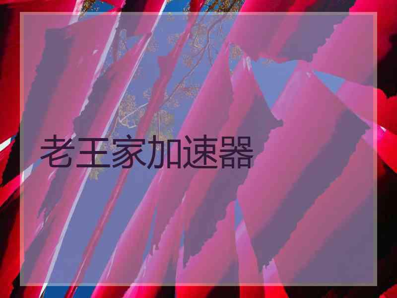 老王家加速器