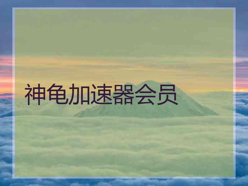 神龟加速器会员