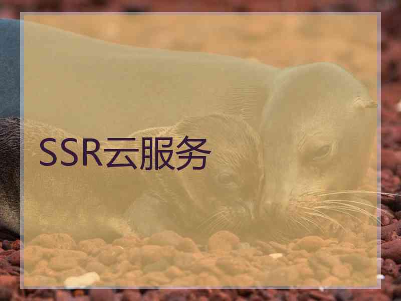 SSR云服务
