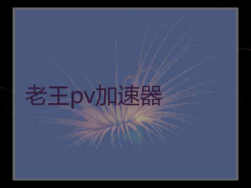 老王pv加速器