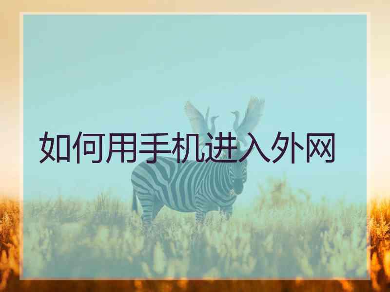 如何用手机进入外网