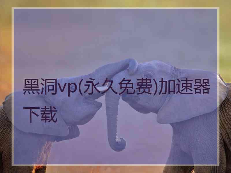 黑洞vp(永久免费)加速器下载