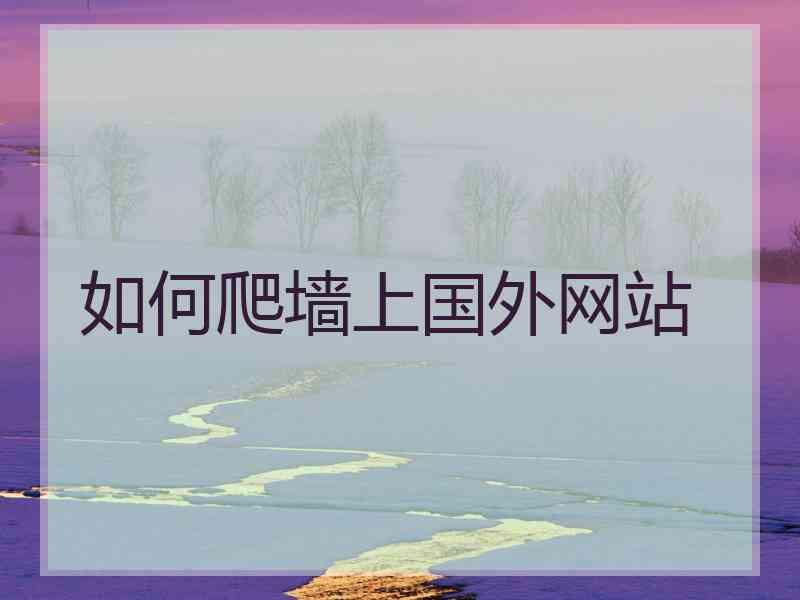 如何爬墙上国外网站