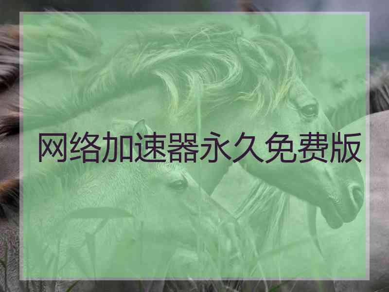 网络加速器永久免费版