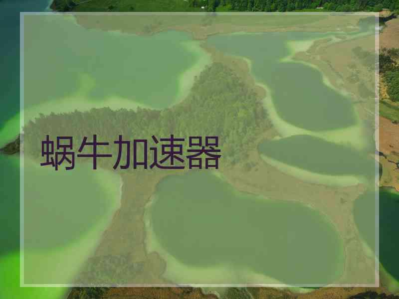 蜗牛加速器