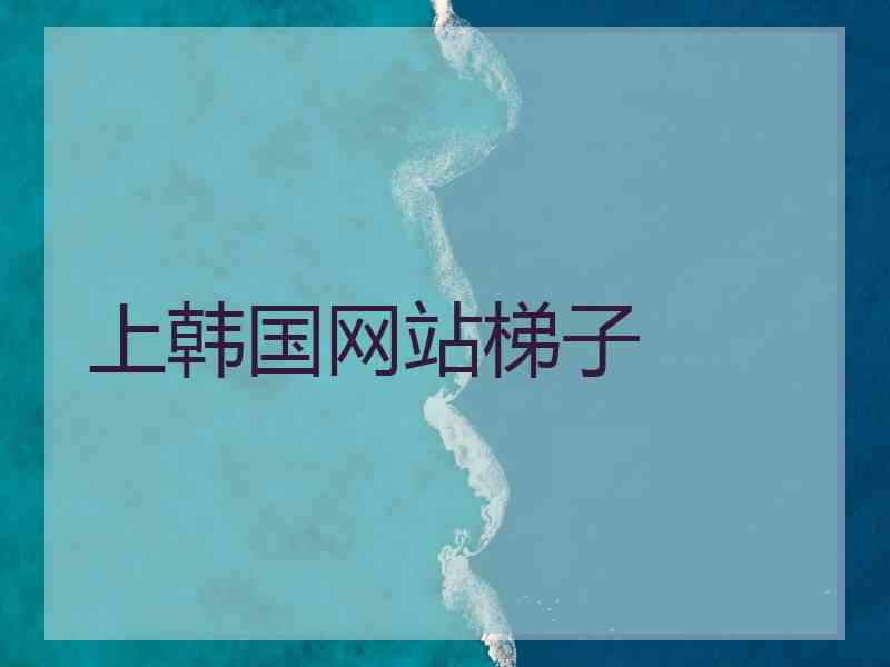 上韩国网站梯子
