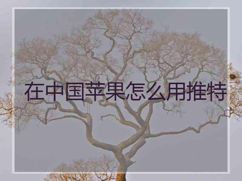 在中国苹果怎么用推特