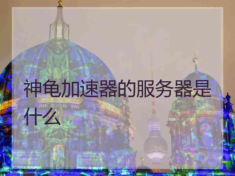 神龟加速器的服务器是什么