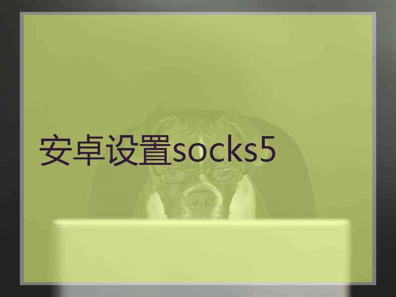 安卓设置socks5