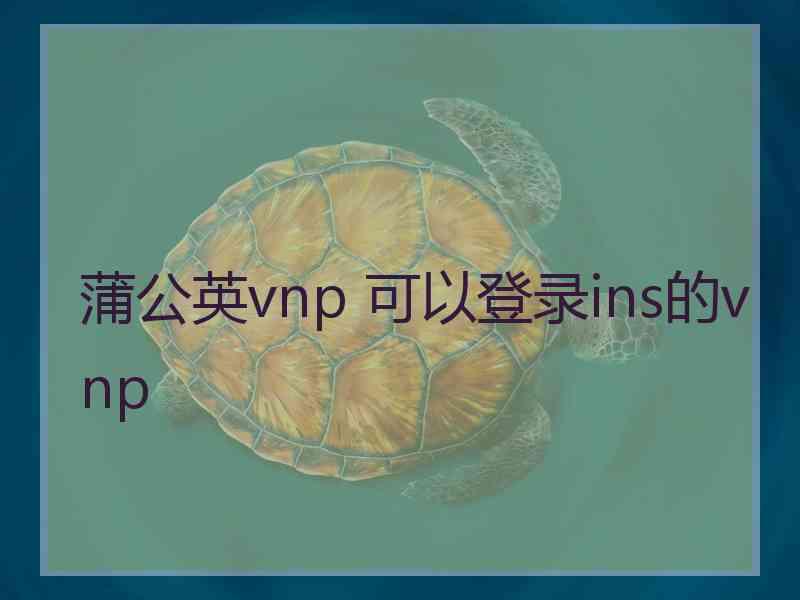 蒲公英vnp 可以登录ins的vnp