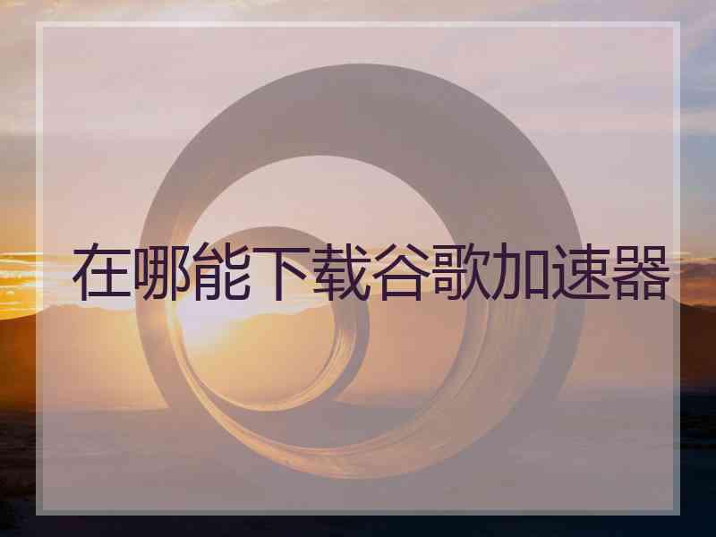 在哪能下载谷歌加速器