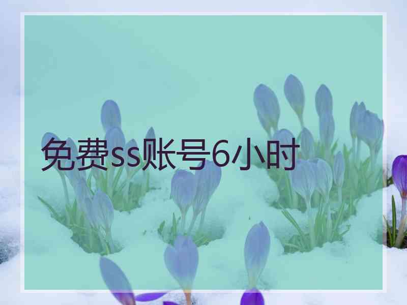 免费ss账号6小时
