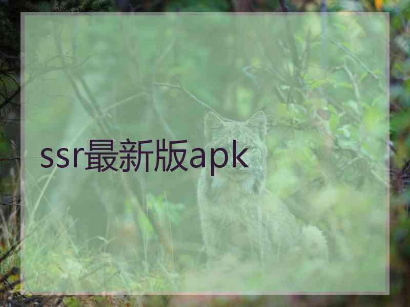 ssr最新版apk