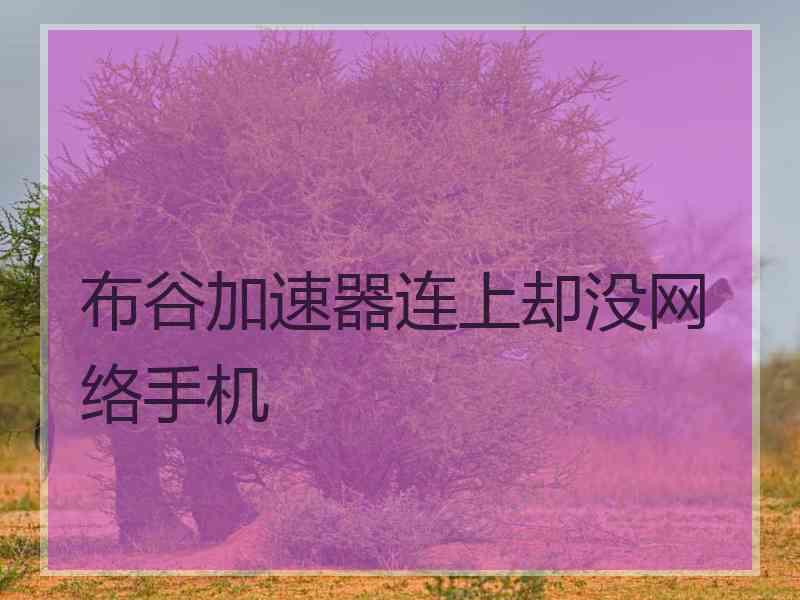 布谷加速器连上却没网络手机