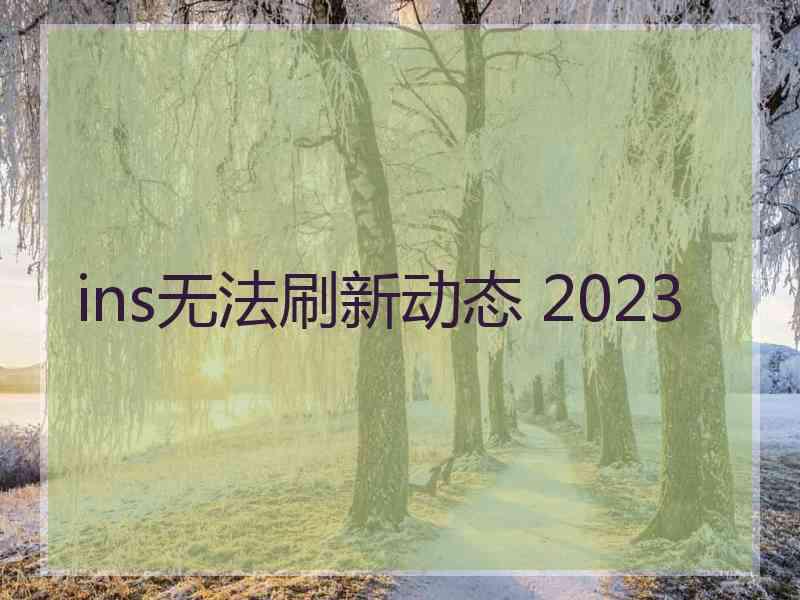 ins无法刷新动态 2023