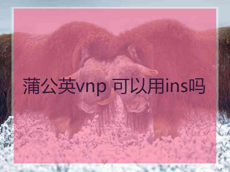 蒲公英vnp 可以用ins吗