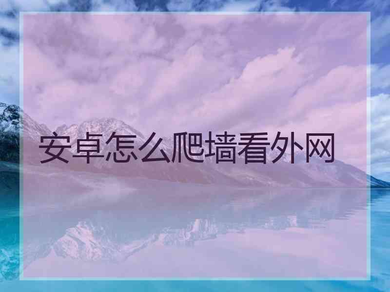 安卓怎么爬墙看外网