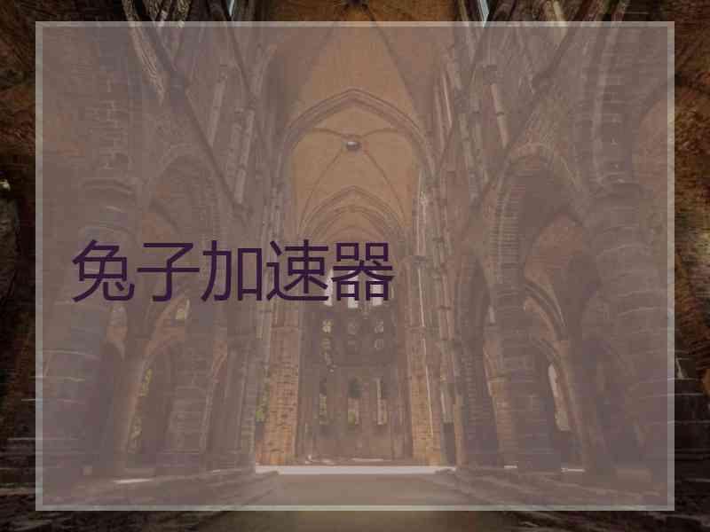 兔子加速器