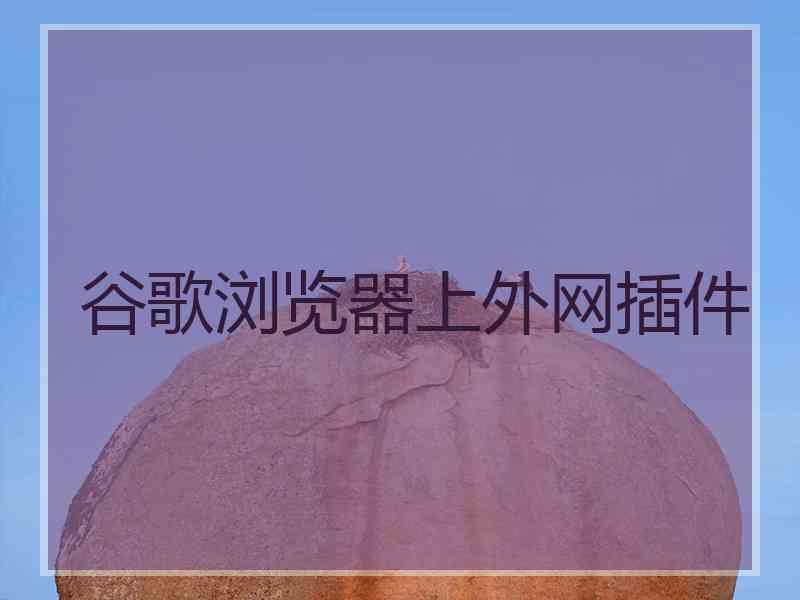 谷歌浏览器上外网插件