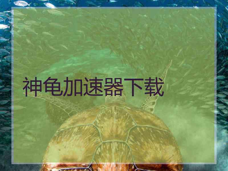 神龟加速器下载