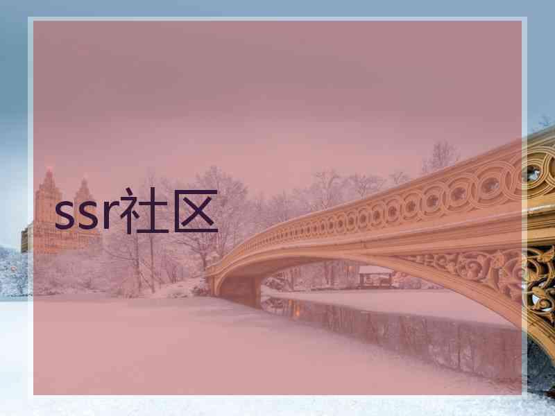 ssr社区