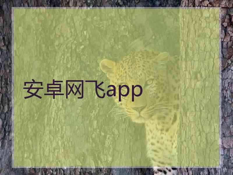 安卓网飞app