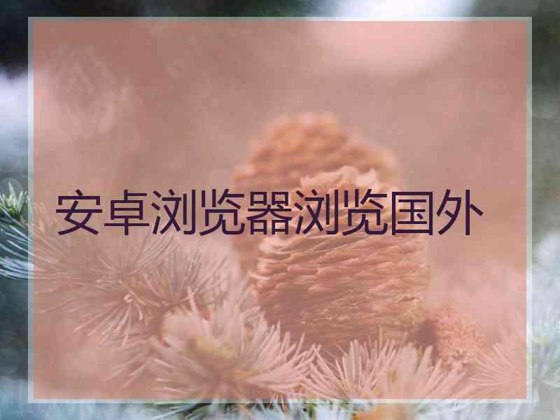 安卓浏览器浏览国外
