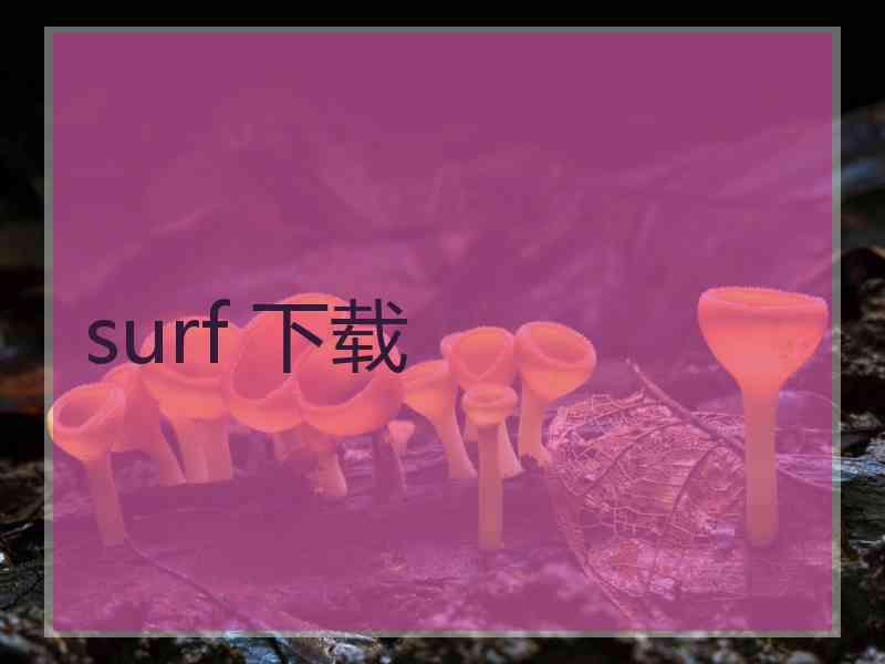 surf 下载